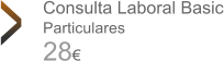 Consulta Laboral Basic Particulares  28 >