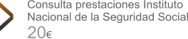 Consulta prestaciones Instituto Nacional de la Seguridad Social 20 >