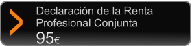 Declaracin de la Renta Profesional Conjunta 95  >